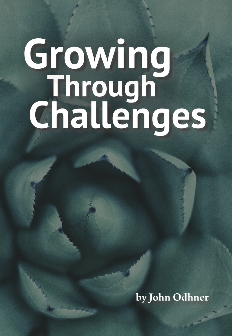 Growing Through Challenges Workbook