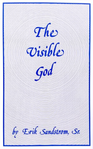 The Visible God Home