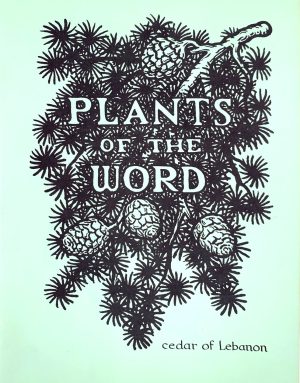 Plants of the Word Home