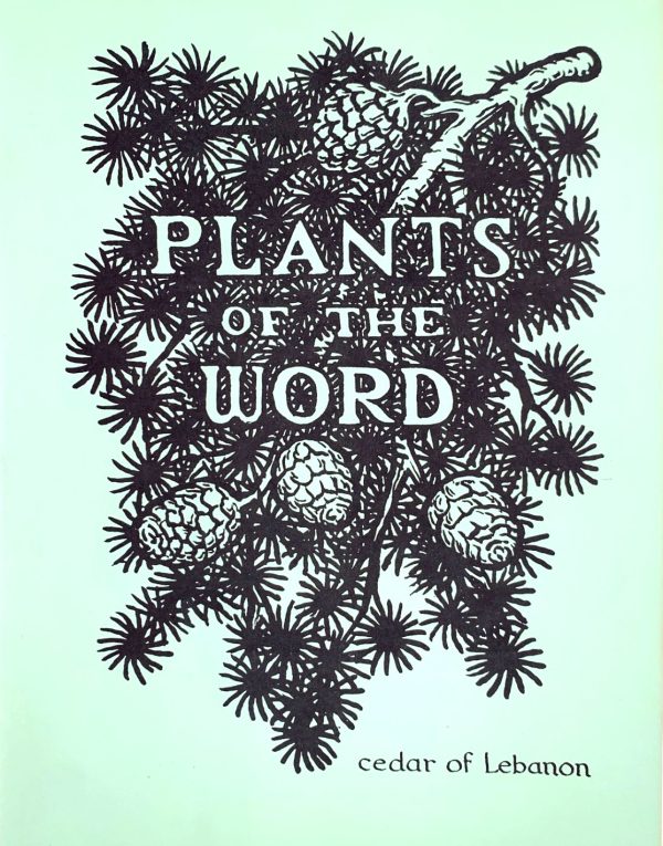 Plants of the Word Coloring Book